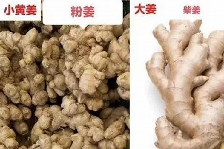大姜种植时溜沟使什么肥,什么量