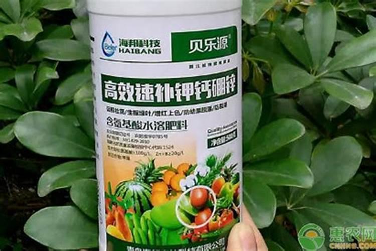 选择进口叶面肥的时候有哪些注意事项,比较好的品牌有哪些？
