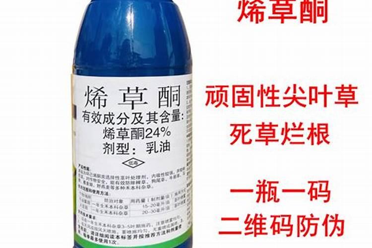你好 请问 玉米地误喷了烯草酮 有什么解救的方法吗？