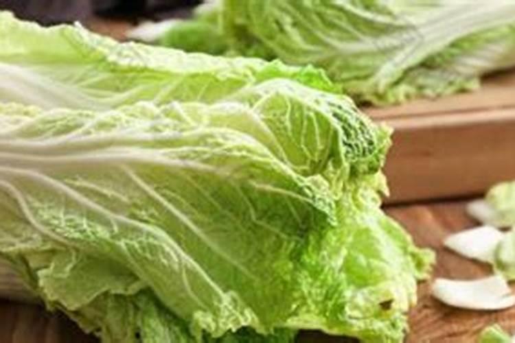 大白菜用什么肥料最好