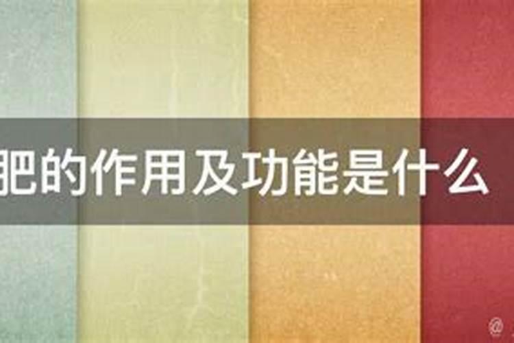 种植烤烟需要什么技巧吗