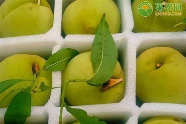 黄腐酸钾有保质期吗？