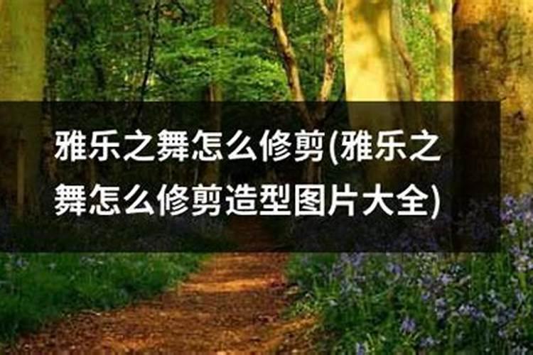 如何正确使用水溶性肥料