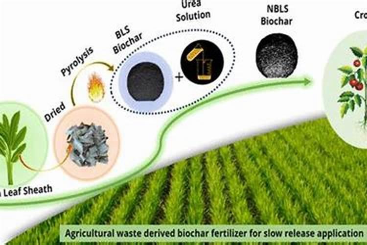 缓控释肥发展历程