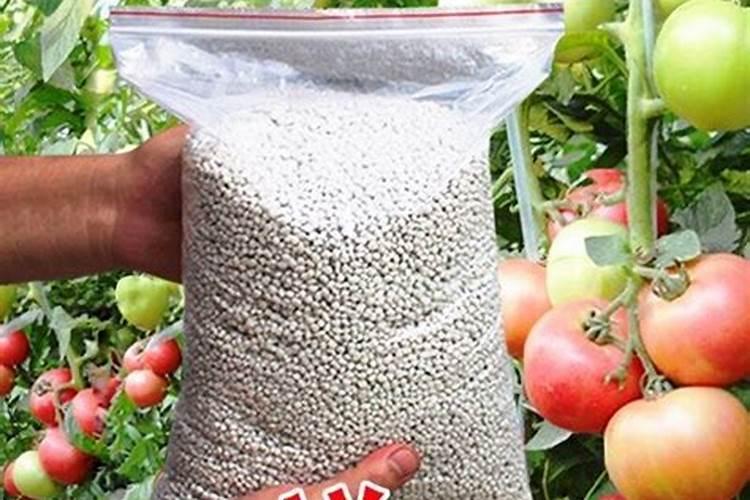 种花到底用哪种肥料比较好、用什么肥料养花最好