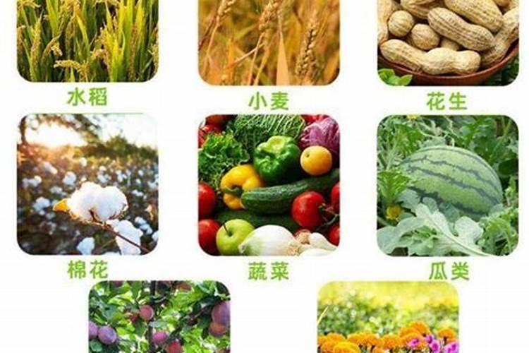 黄腐酸钾和腐殖酸钾是一个东西么