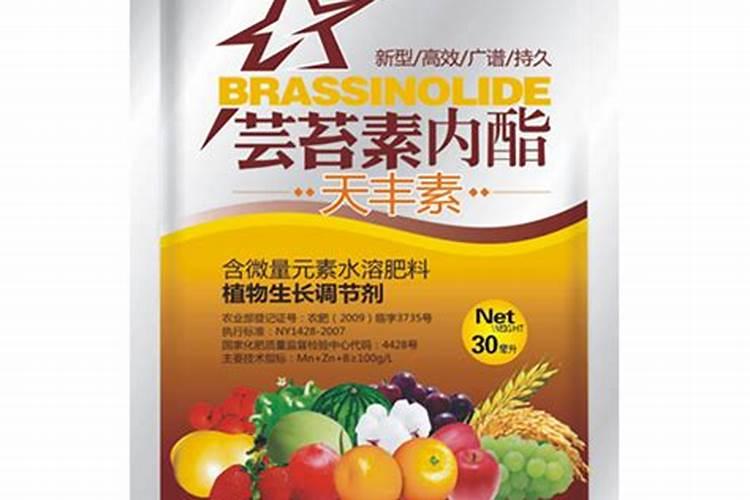 生菜怎么种才能高产