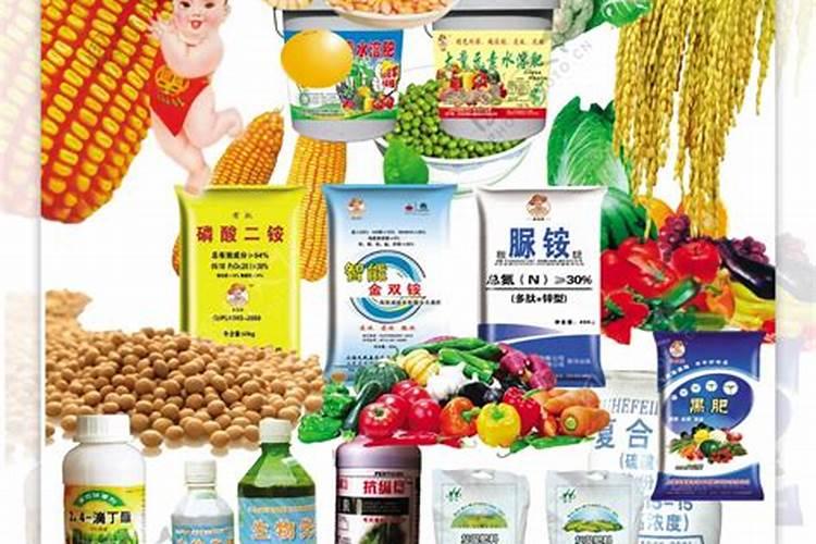 文竹叶子黄了还能绿吗,及时处理即可挽救(5个方面)