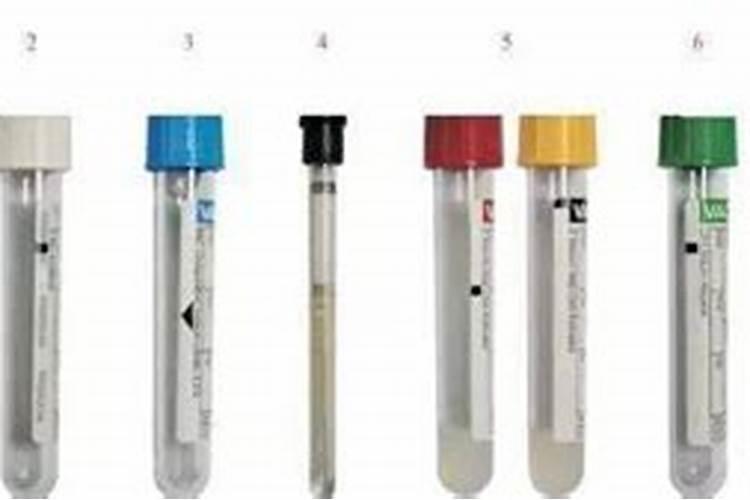 不同颜色的采血试管作用分别是什么？