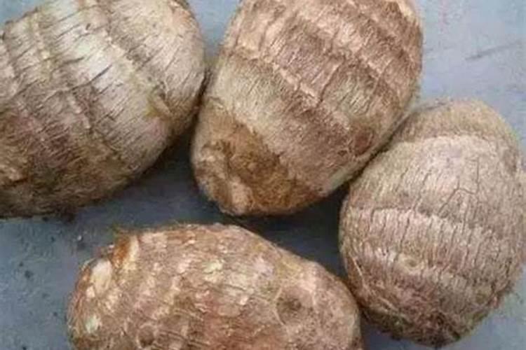 芸苔素使用技巧