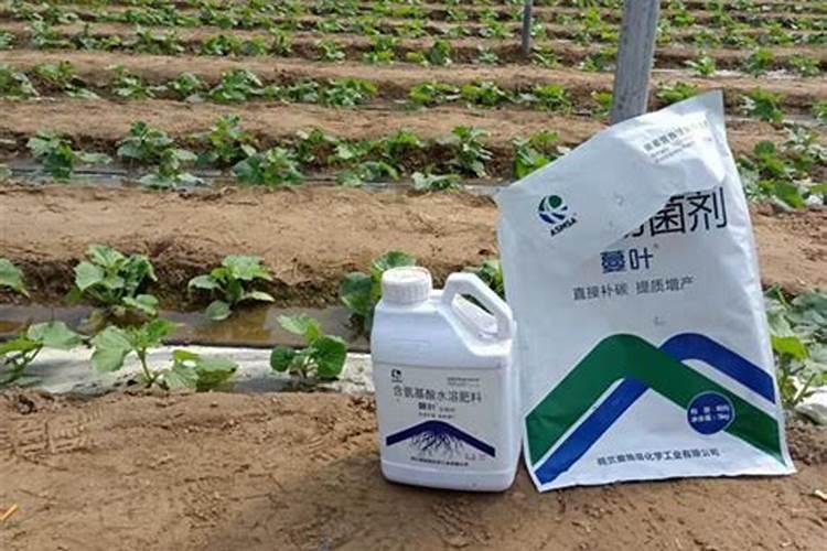 水溶肥福进门一亩用多少斤