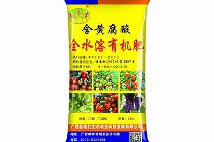 盆栽小金桔树怎么养可以结果多有好吃？