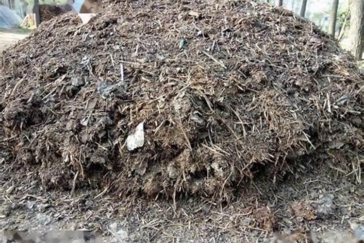 水稻施农家肥可以吗(不用化肥水稻亩产量能高产吗)