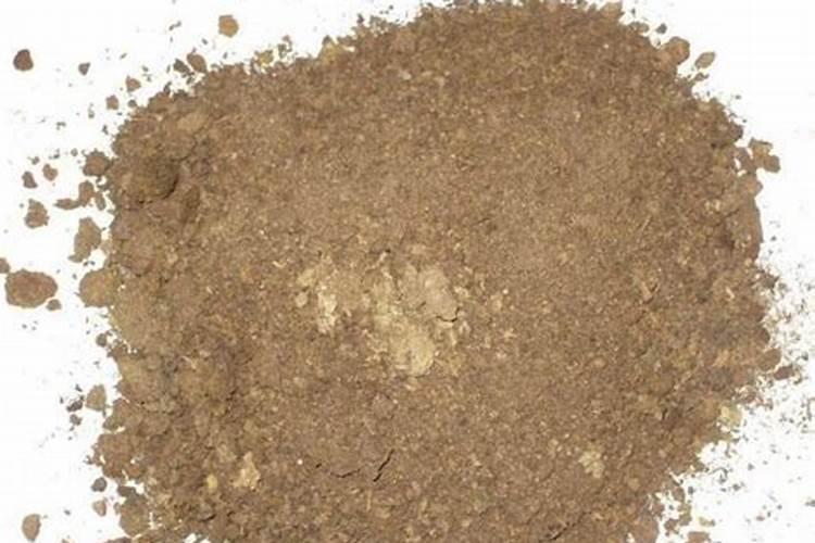 草莓根腐病能治好吗