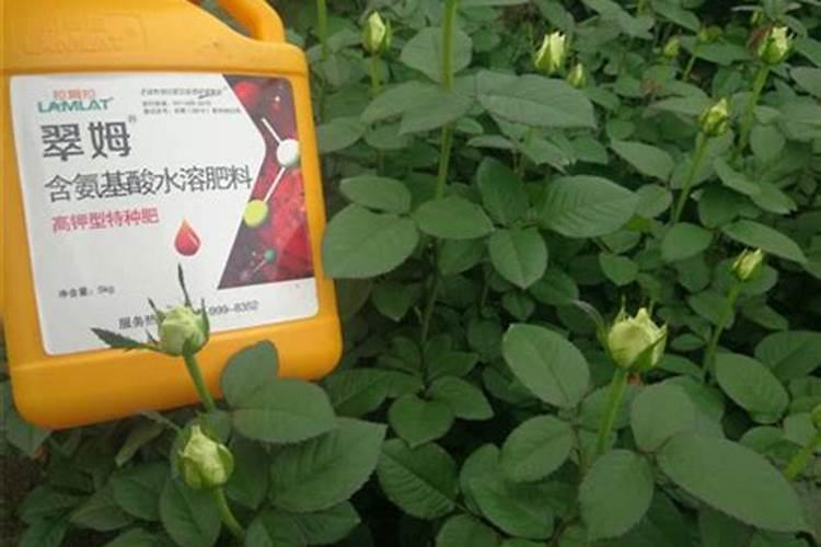 无土栽培营养液如何配置