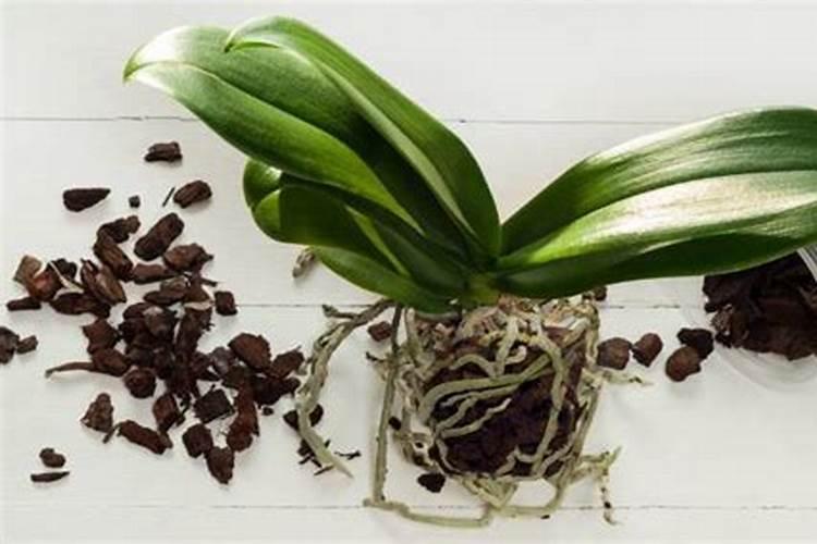 家庭制作磷肥的方法