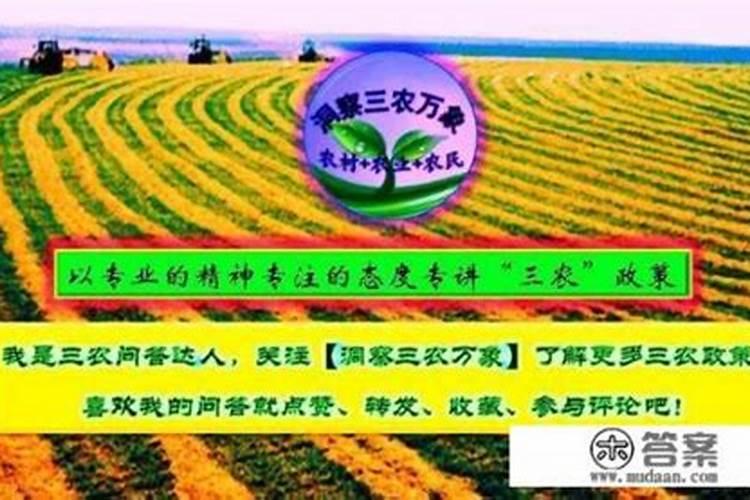 绿肥在农作物生长过程中起到哪些作用？