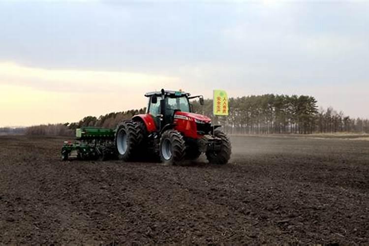 日光温室大棚辣子打磷酸二氢钾和芸苔素上午好还是下午好？