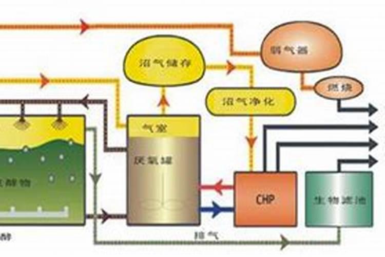 金银花施什么肥料最好(金银花施什么肥长得最快产量高)