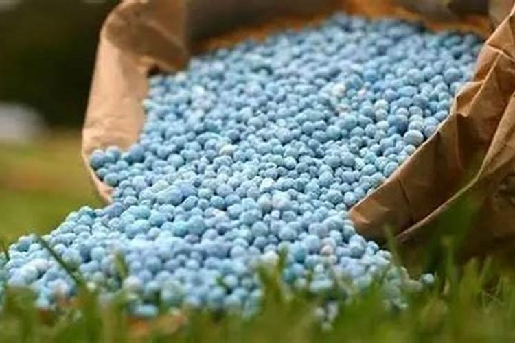 给盆栽植物用什么肥料