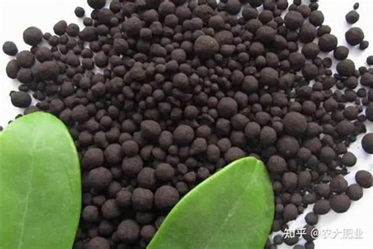 水溶肥相比于传统肥料有哪些优缺点？