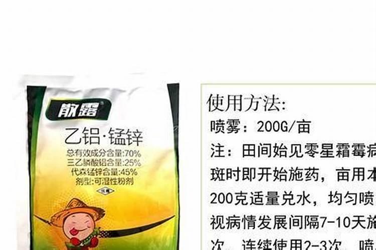 硼在西瓜什么时候补