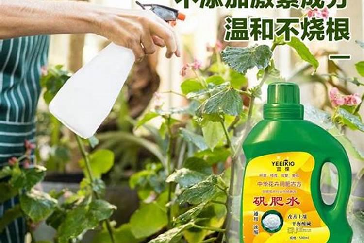 中国水溶肥的前十名中国十大水溶肥排名