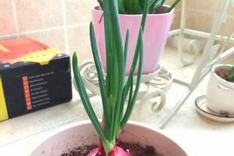 尿素可以和硫酸铵混用吗？