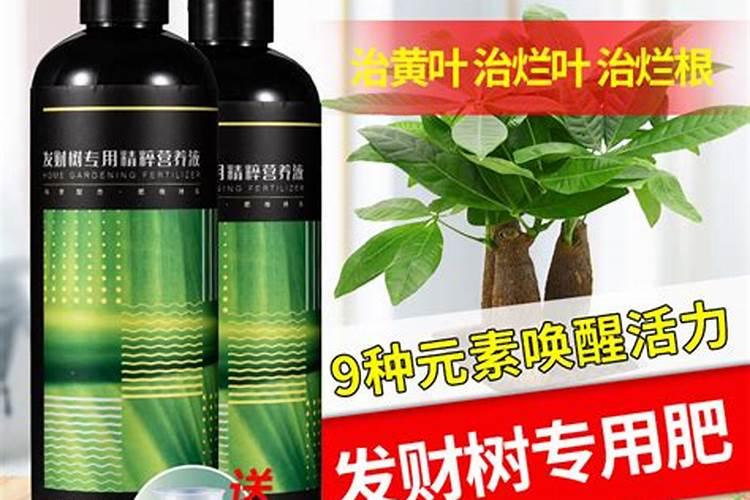苹果树秋季施肥:八大好处让你收获满树果实!