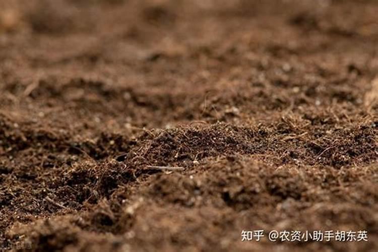 干草烧后的烟危害