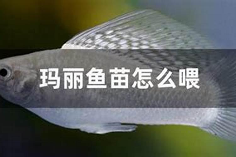 人血白蛋白的残液可以浇花么,怎么浇