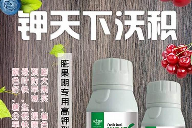 辣椒什么时候补钙最好