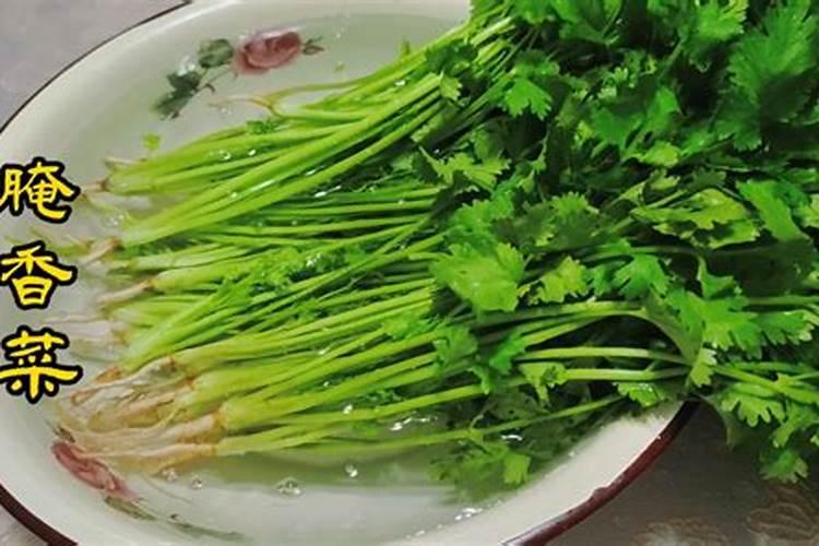 香菜浇什么肥料合适
