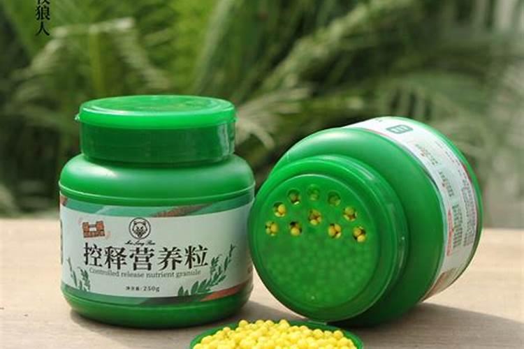 君子兰用什么肥料