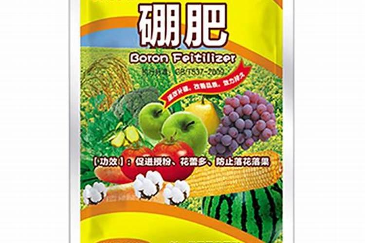 玉米打什么叶面肥最好