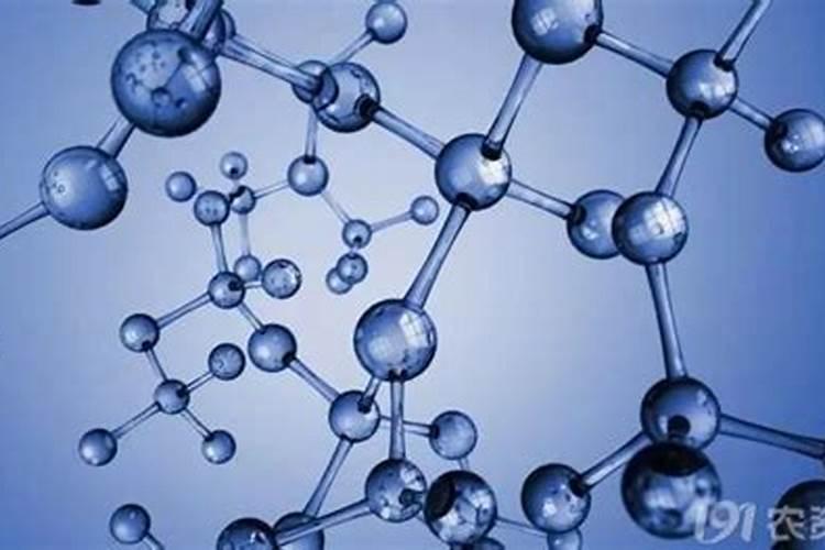 荔枝开花期喷什么药