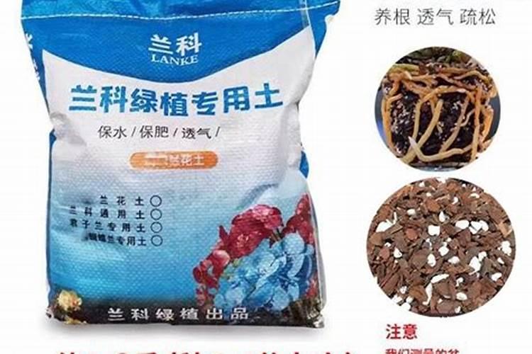 全部用腐叶土养花可以吗(腐叶土养兰花注意事项 )