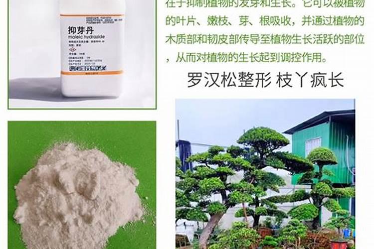 花生衣含什么有害成份