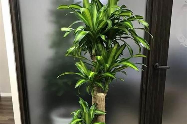 通过标准看腐植酸和黄腐酸