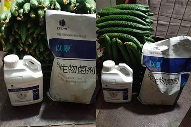 水稻生长期分几个阶段什么时候收割