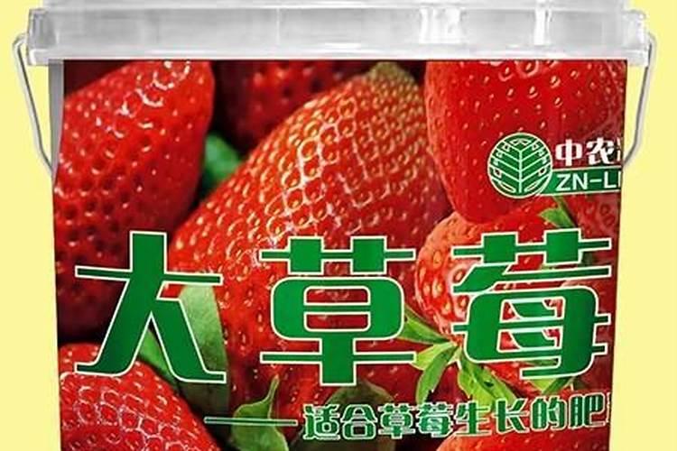 草莓怎么施肥？施什么肥比较好？