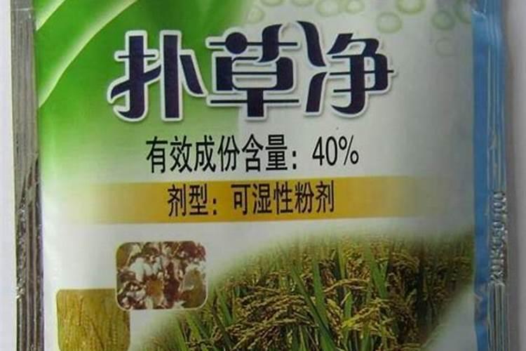 鱼池青苔最有效的方法