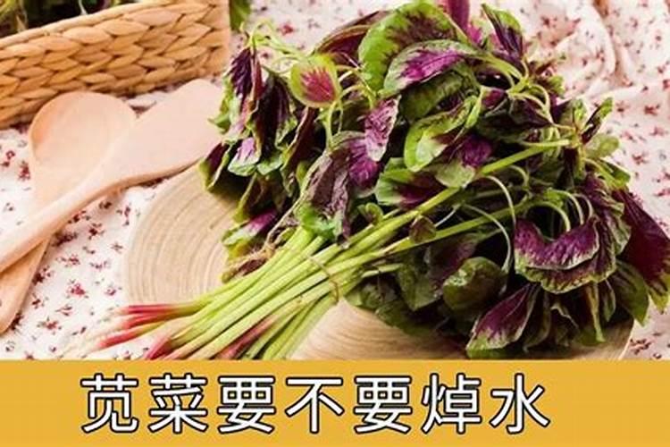 苋菜种植施肥要科学,苋菜种植该怎么科学施肥？