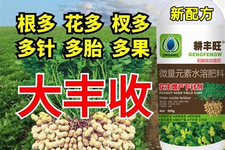 花生追施叶面肥好吗？叶面肥怎么用效果好？叶面肥多少钱一袋？