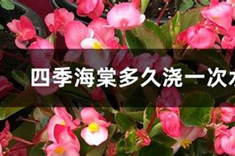 水稻施磷肥有什么作用
