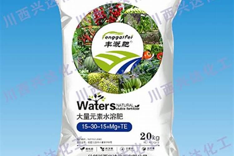 夏威夷果的种植技术