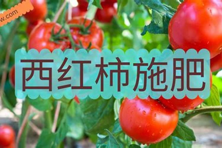 土壤板结的原因 花盆土壤板结的原因