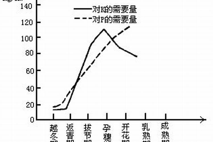 葡萄春季怎么施肥,葡萄春天施什么肥
