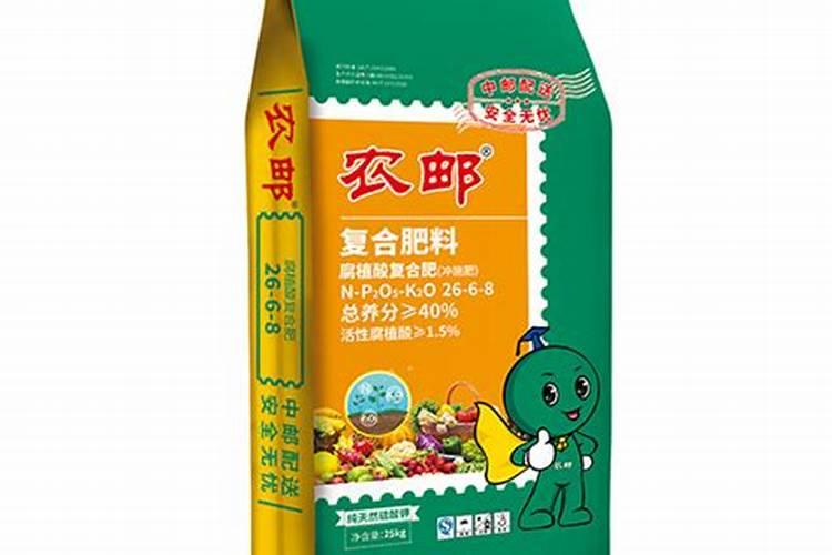 豆能放在水里养吗 豆可以放在水里养吗