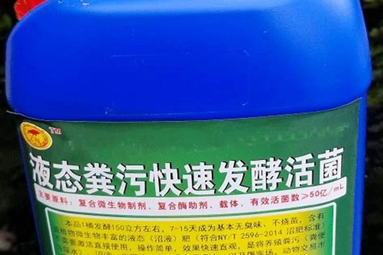 蟹爪兰有花苞了还能施肥吗